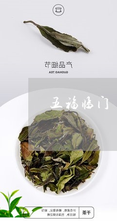 五福临门 普洱茶/2023033134081